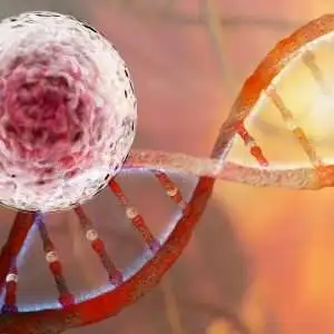 custom-liposomes-square